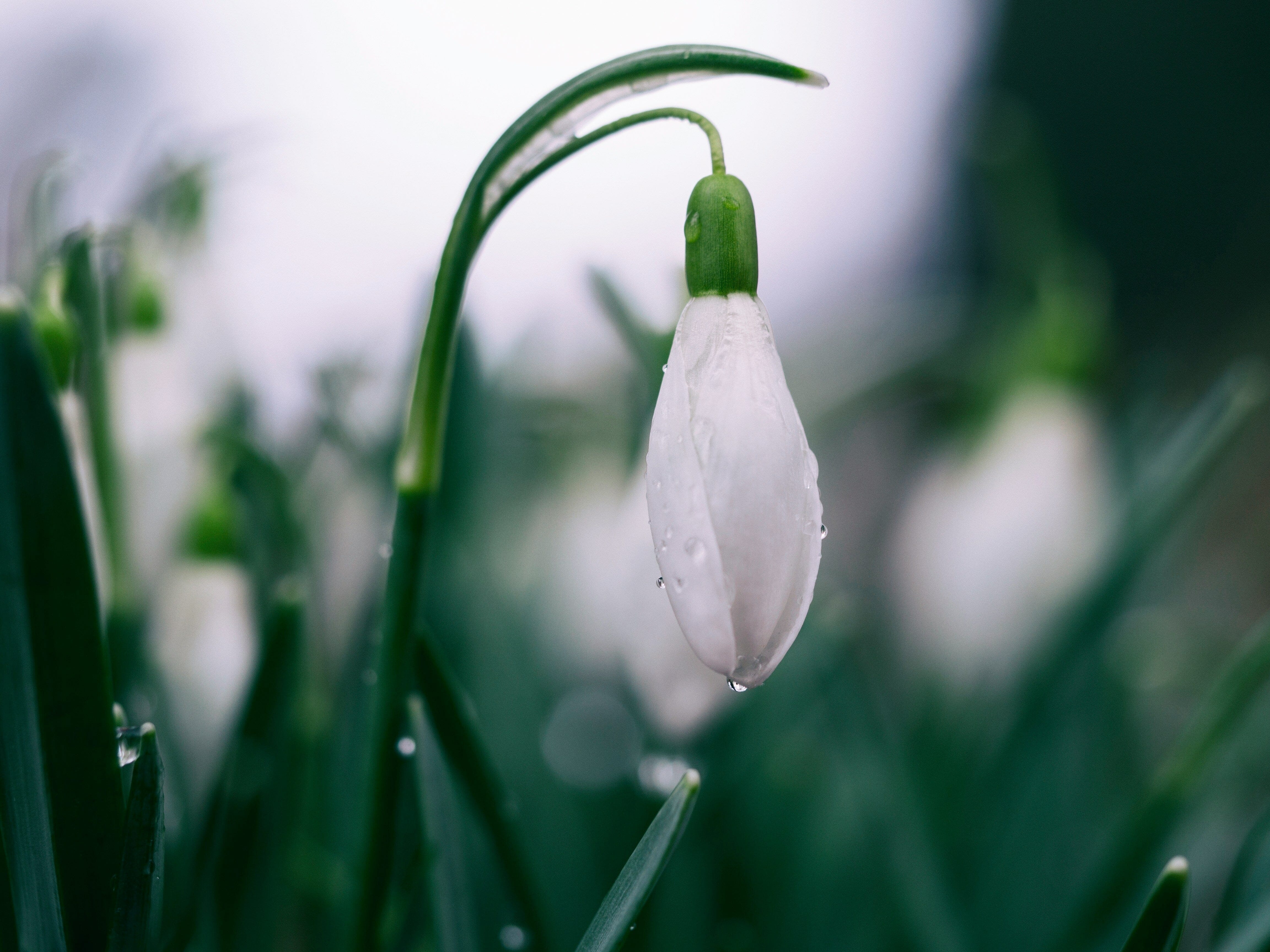Rivitalizza la tua Primavera con Gioielli di Cristallo: Una Guida alla Scelta di Pietre per Nuovi Inizi